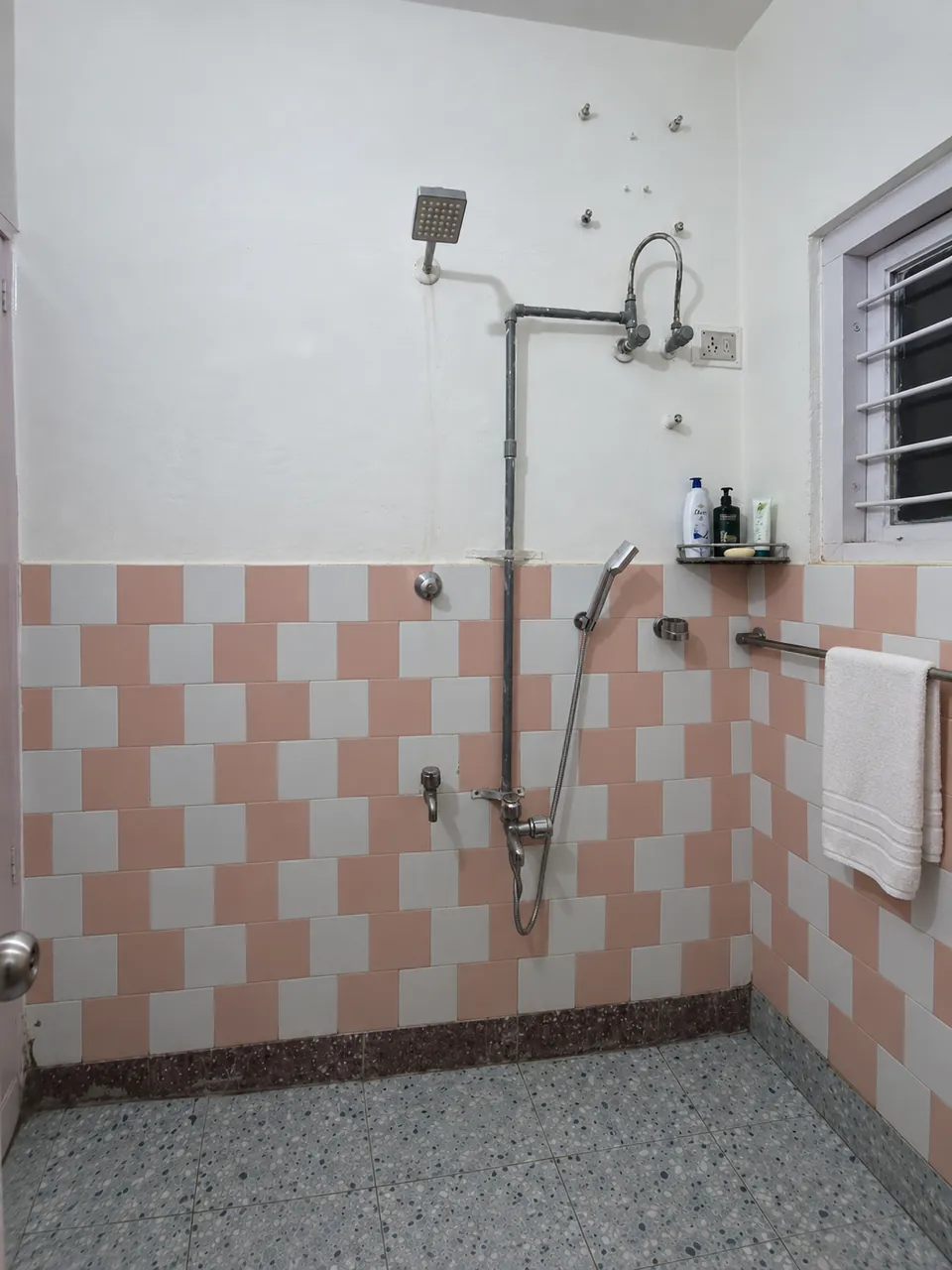 Shower area with a rain shower head, hand shower and towel rail